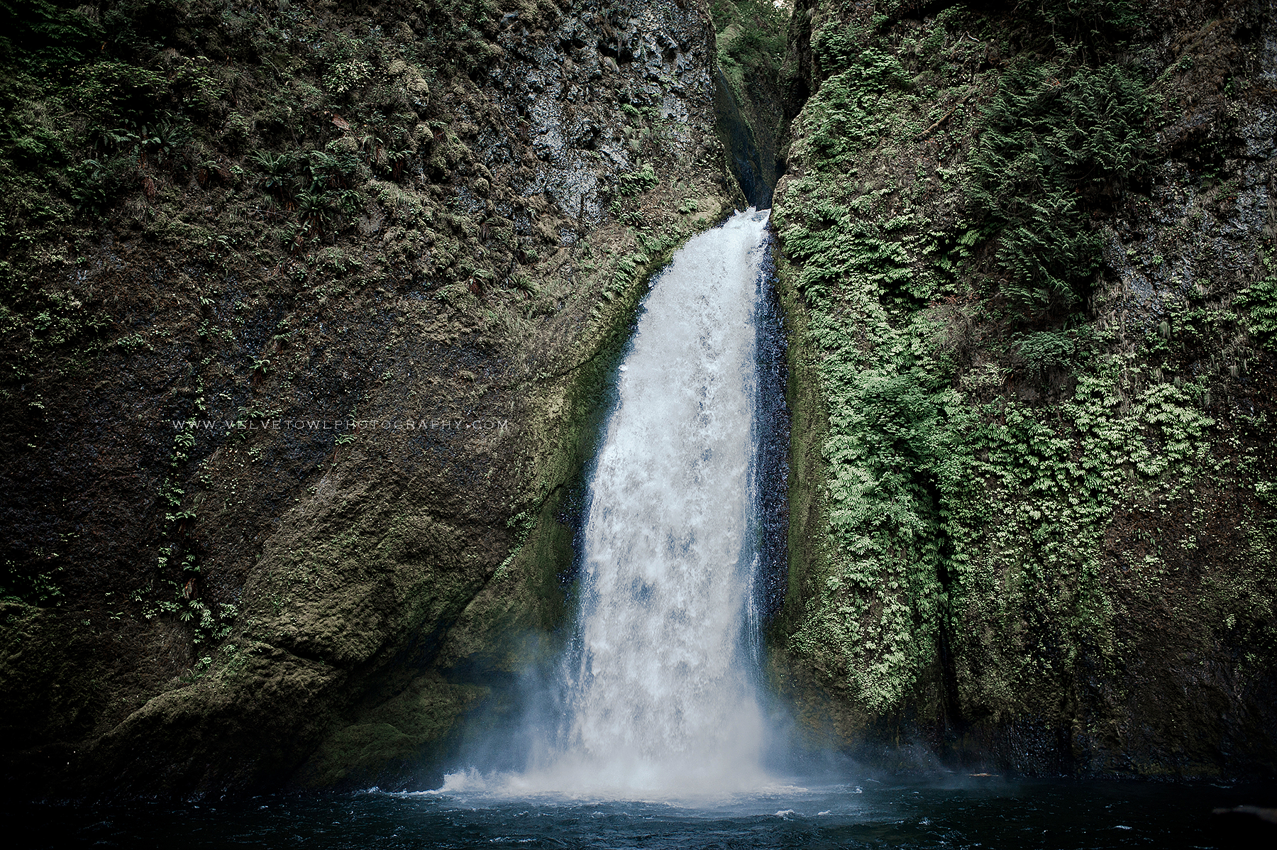 Redgy Taylor Wahclella Falls Oregon Wedding Elopement