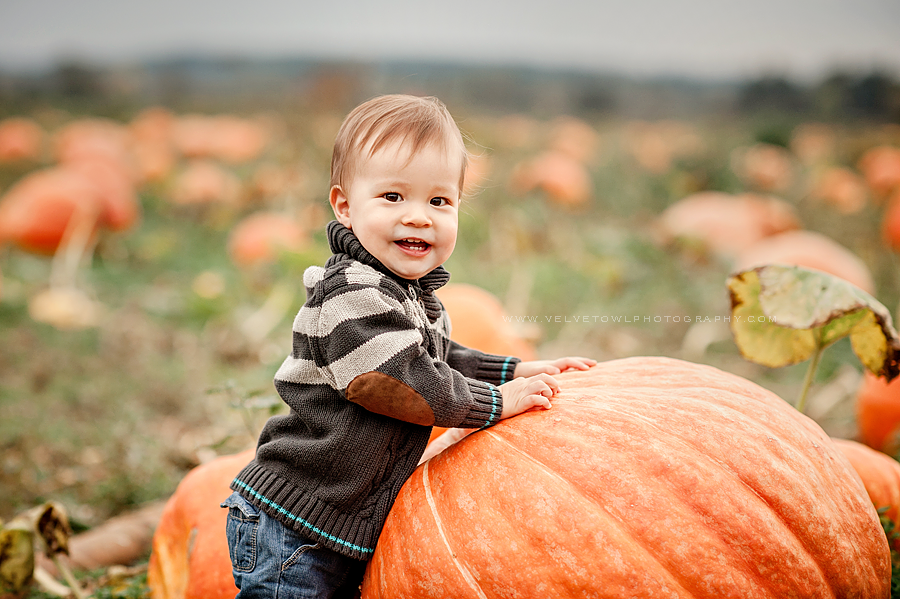 Little Pumpkin Turns One :: {Washington Family Children’s Pumpkin Patch ...